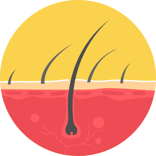 101-hair.png