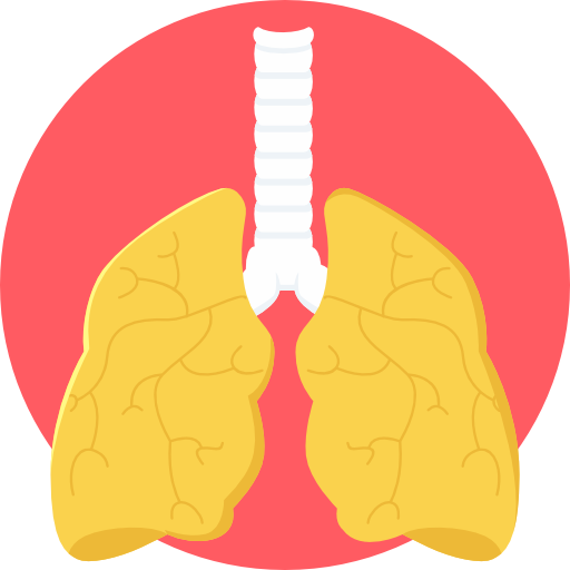 101-lungs.png