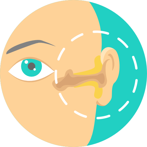 101-otorhinolaryngology.png