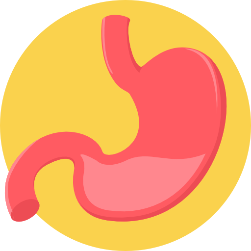 101-stomach.png