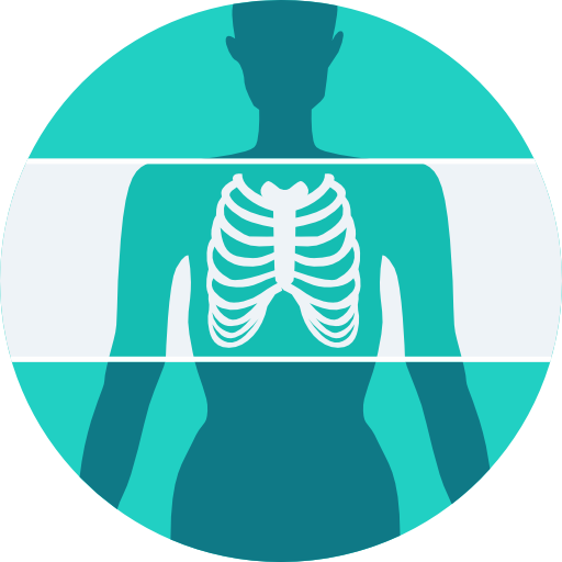 101-x-ray-1.png